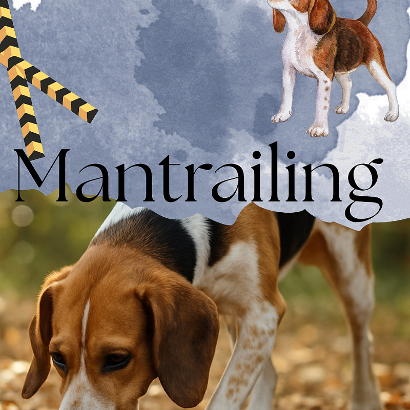 Mantrailing Schnupperkurs