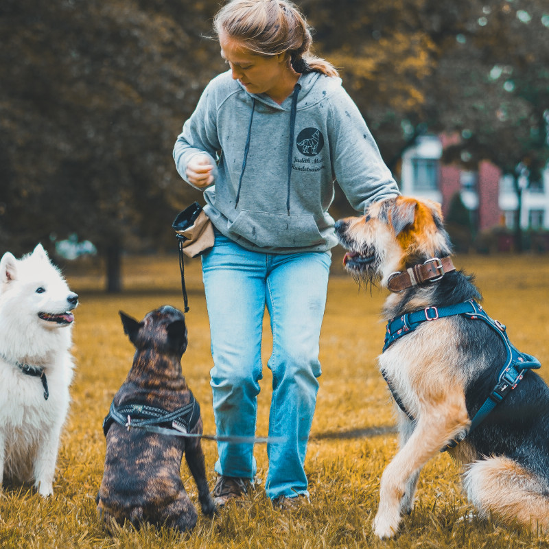 Social-Walks 2-wöchentlich