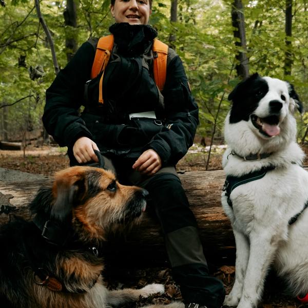 Krimi-Tour Zwergenklau