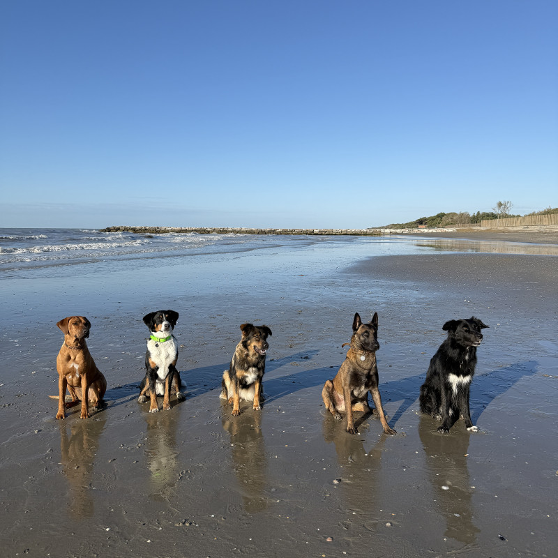 Trainingsurlaub - Caorle