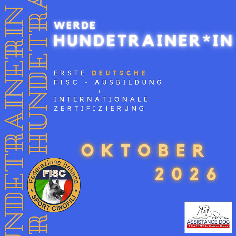 Ausbildung Hundtrainer*in