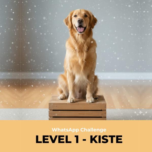 WhatsApp Challenge - Level 1 - Kiste