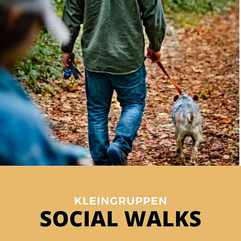 Social Walk für Fortgeschrittene