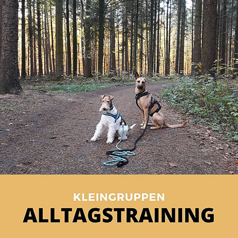 Alltagstraining II/ Silber Di. 18h