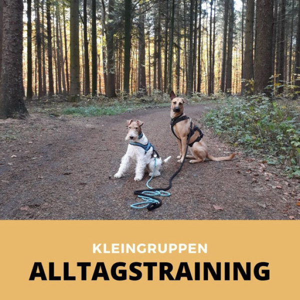 Alltagstraining II / Fr. 18h
