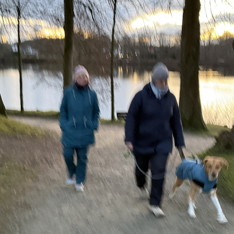 Walk & Talk
