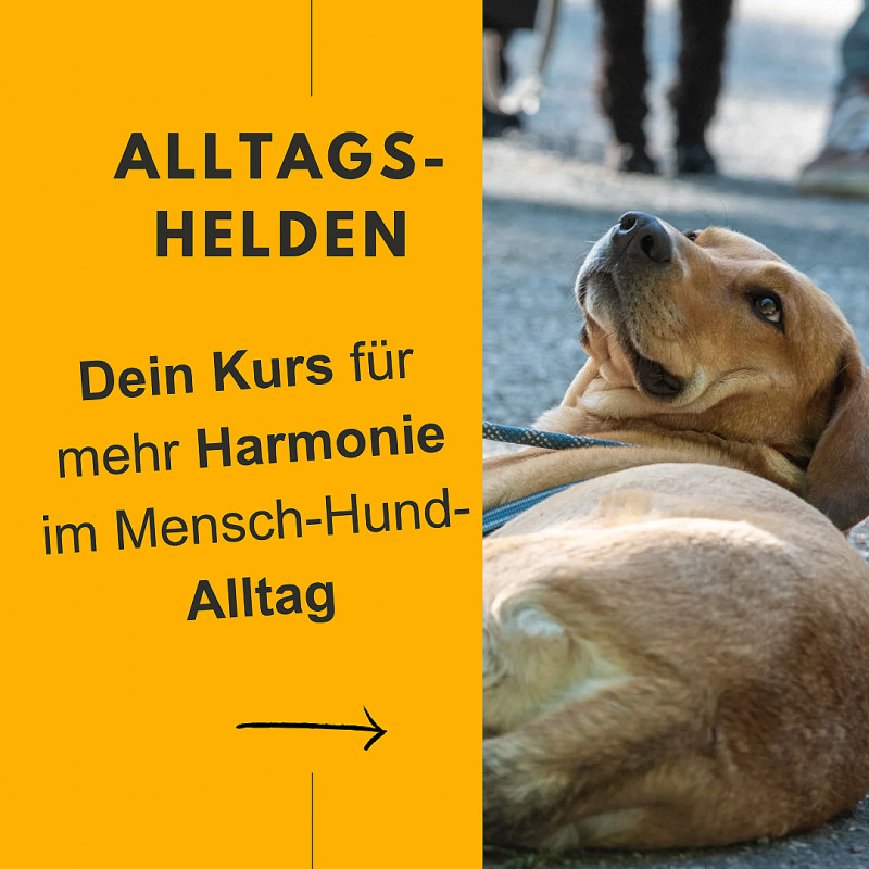 Alltagshelden