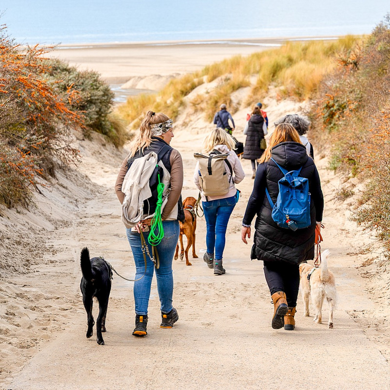 Walk & Talk Einzelne Termine