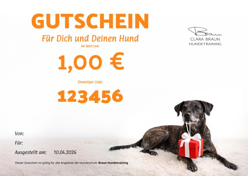 Weihnachtsdesign