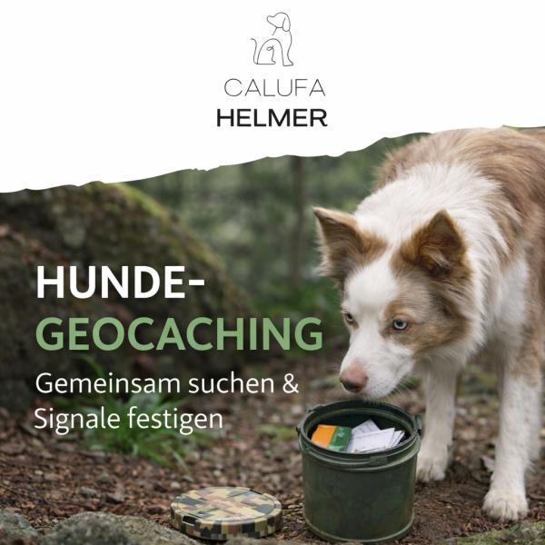 !COMING SOON! HundeGeocaching