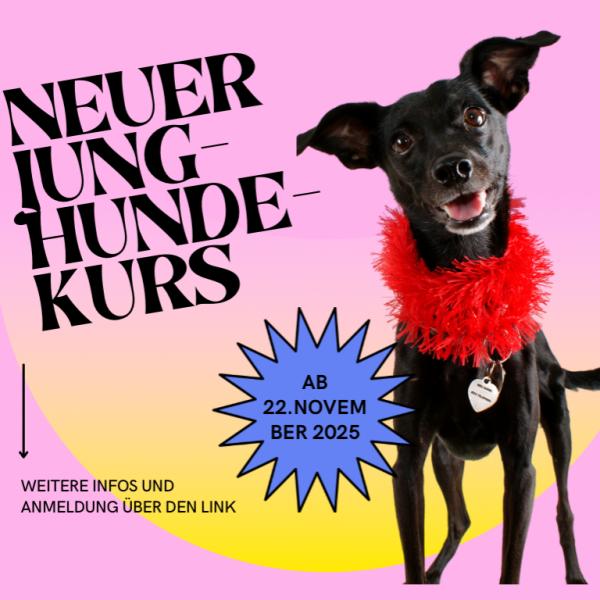 Junghundekurs