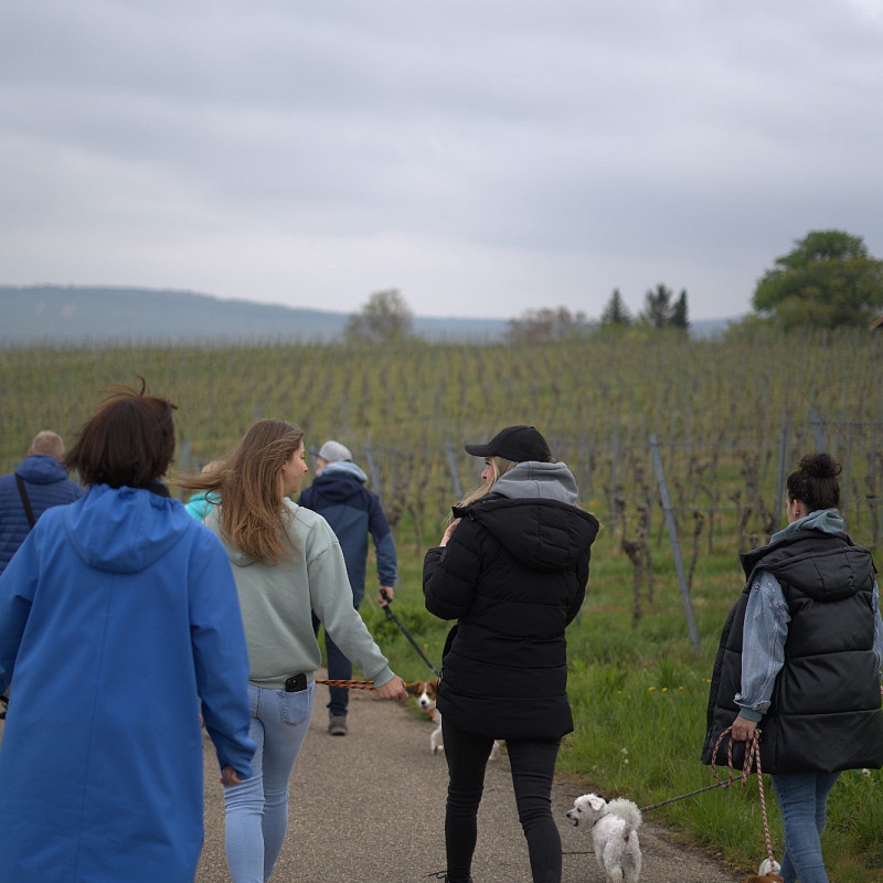 Social Walk 05.10.26