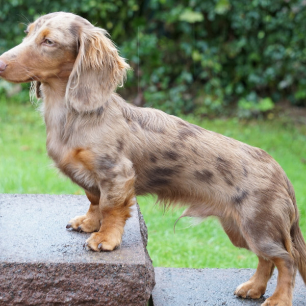 Kostenloses Training