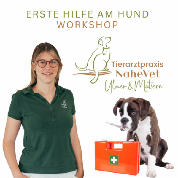 Erste Hilfe Workshop mit NaheVet