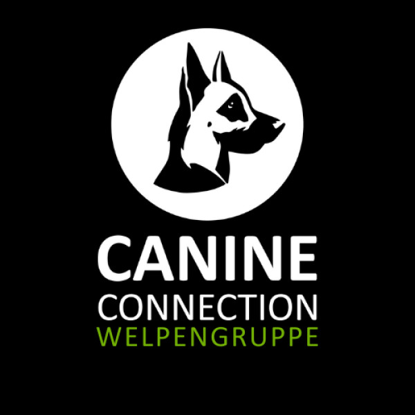 Welpenkurs 16.02.2025 - 06.04.2025