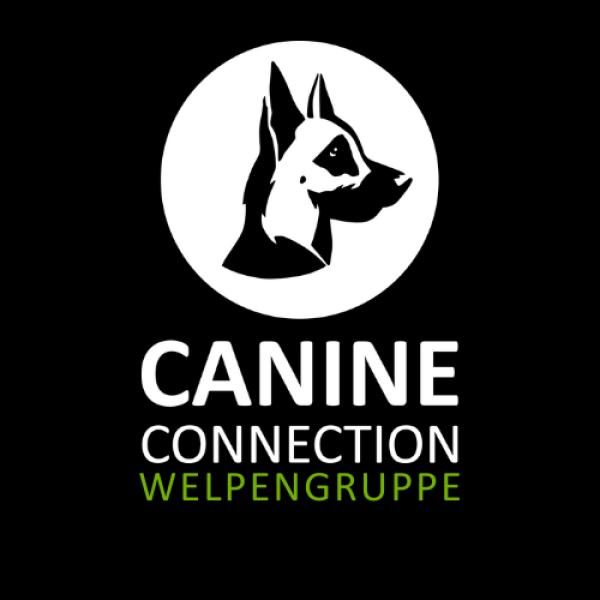 Welpenkurs 27.07.2025 - 14.09.2025