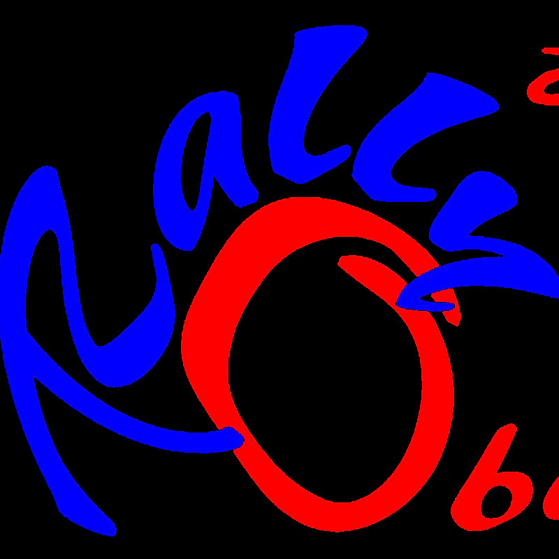 Rally Obedience, Montag 17.00 Uhr
