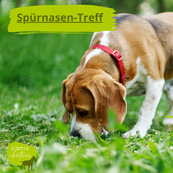 Spürnasen-Treff