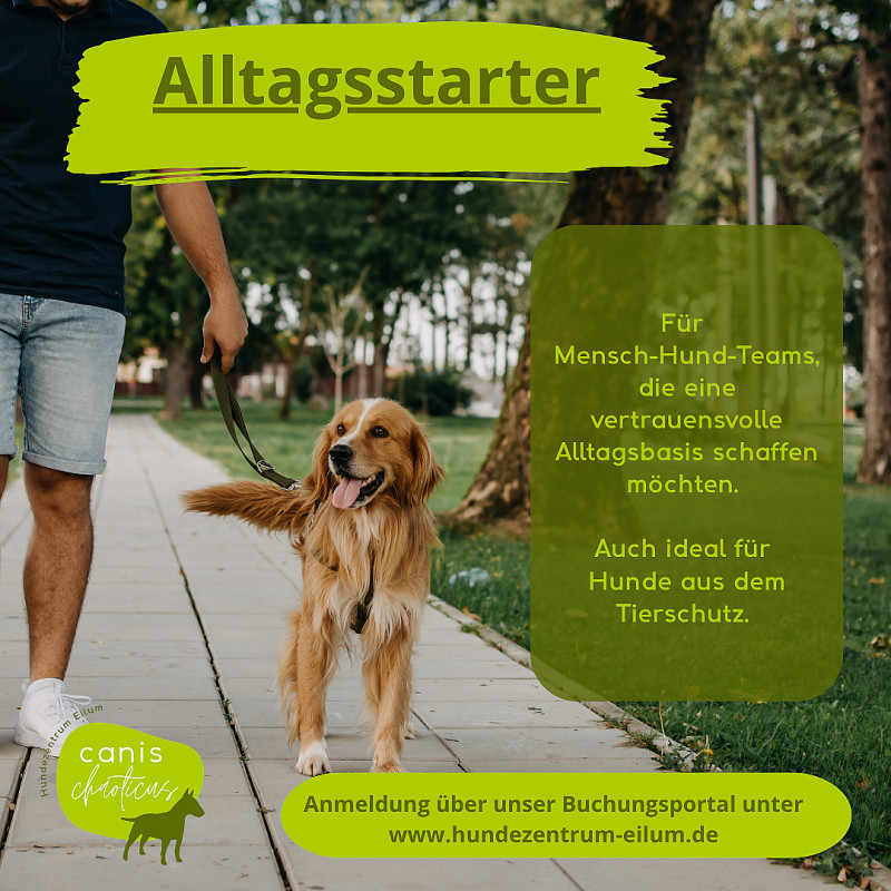 Alltagsstarter