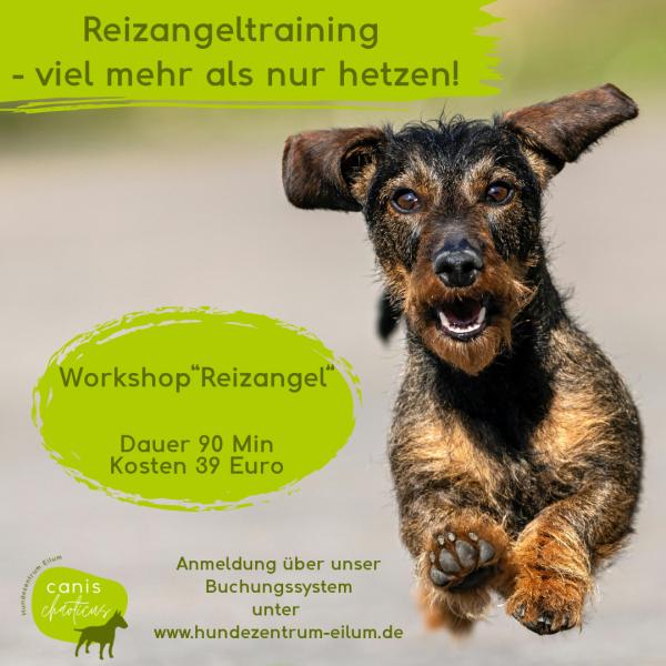 Workshop "Reizangeltraining"