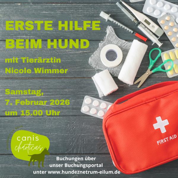 Erste Hilfe beim Hund