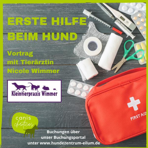 Erste Hilfe beim Hund