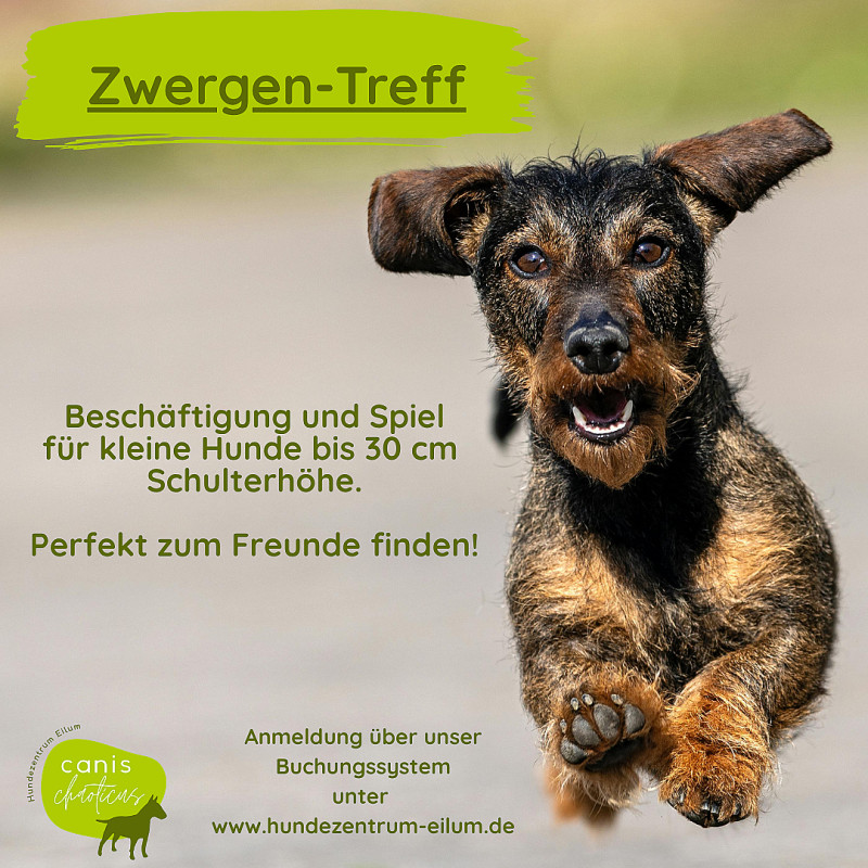 Zwergen-Treff