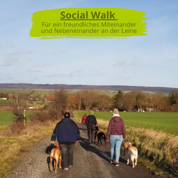 Social Walk