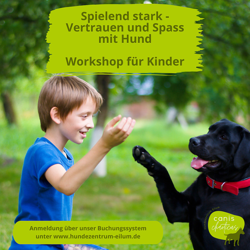 Spielend stark - Vertrauen und Spaß mit Hund