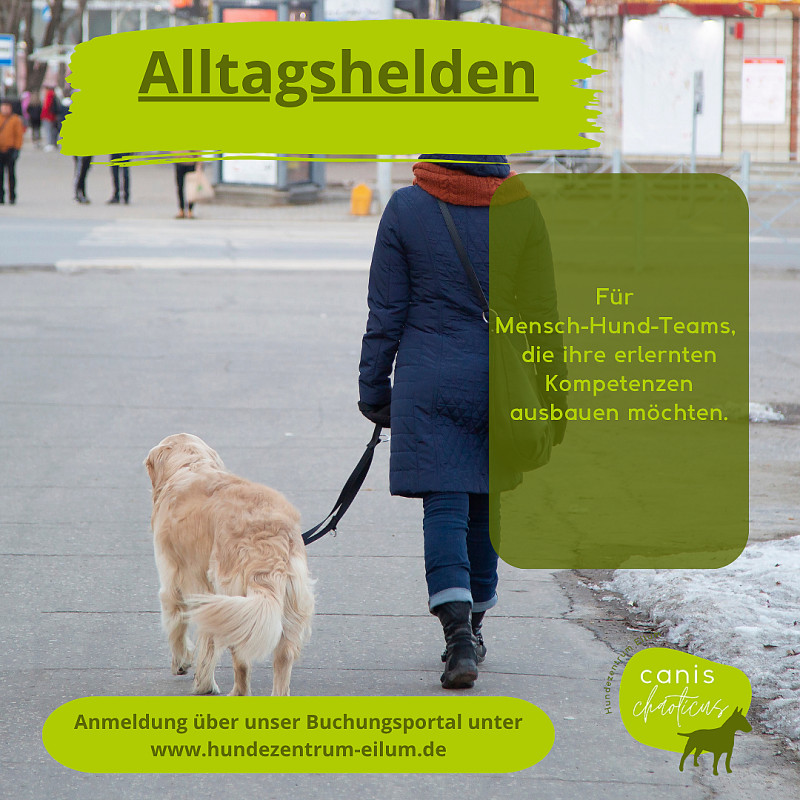 Alltagshelden