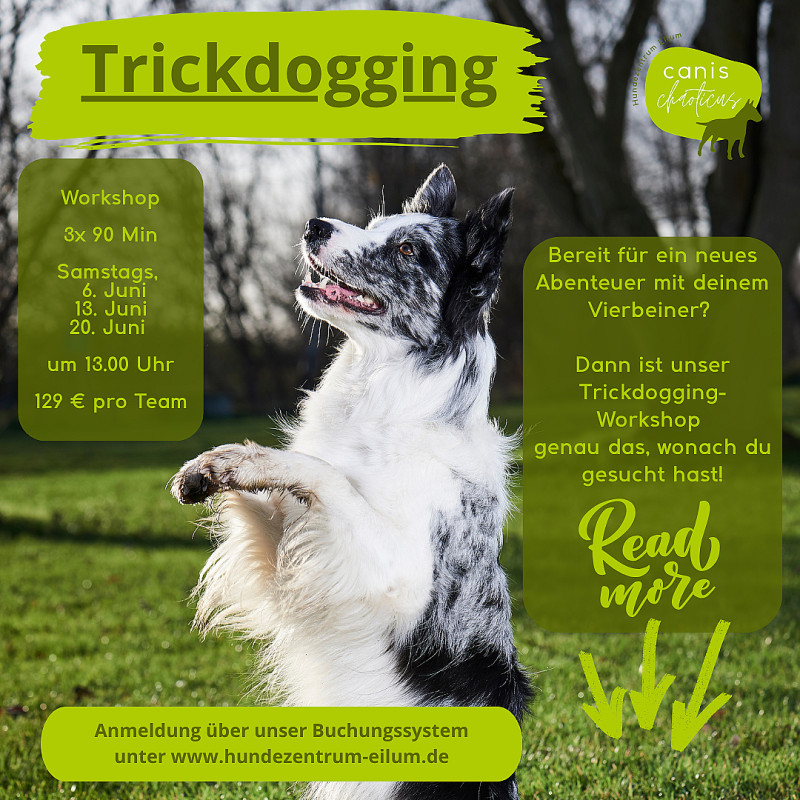 Trickdogging