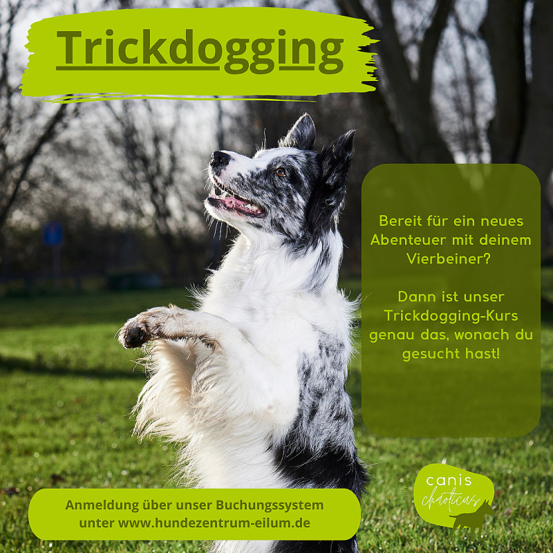 Trickdogging