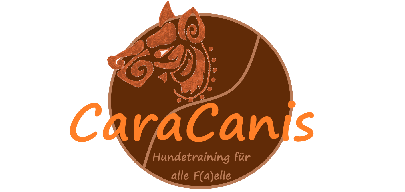 Hundetrainin - Coaching