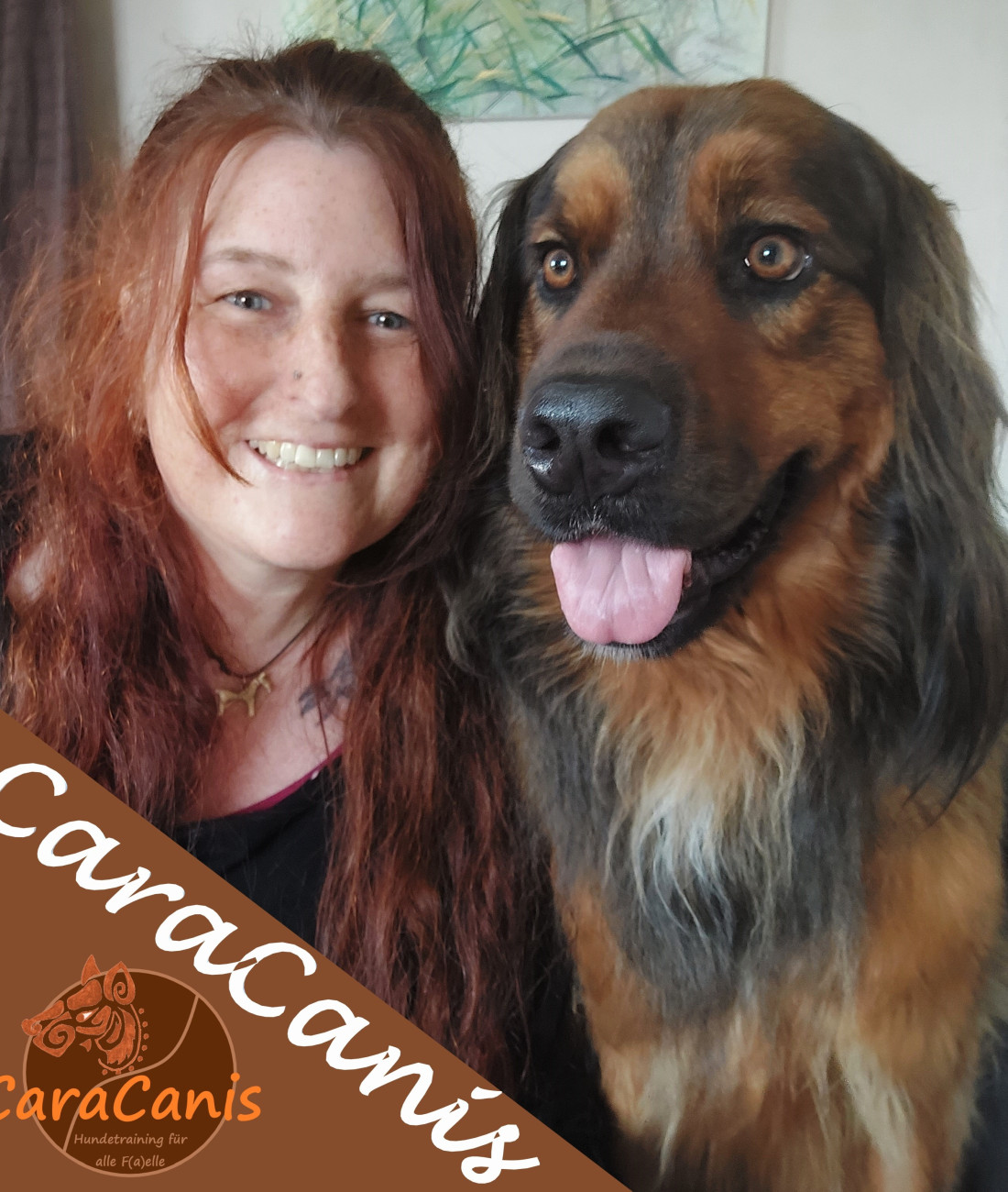 Hundetrainin - Coaching