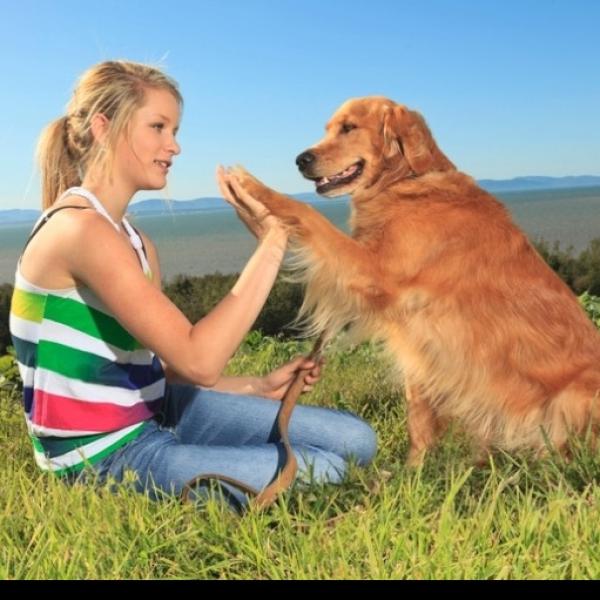 Kind & Hund ~ sicher miteinander