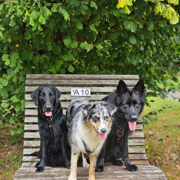 Freilauf mit Struktur