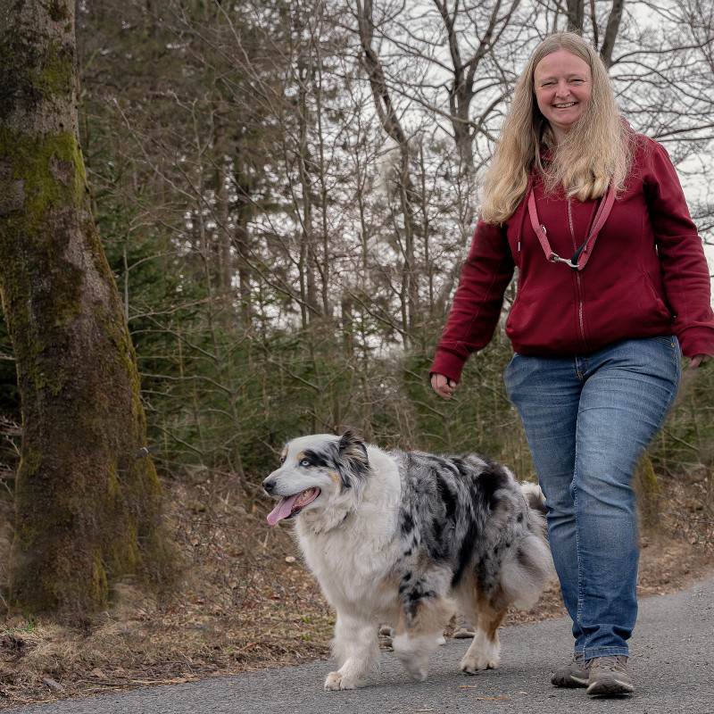 Einzeltraining bei mir