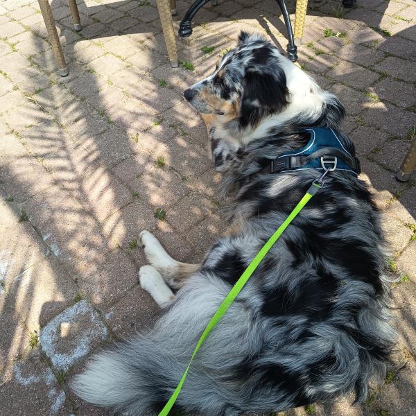 Einzeltraining bei mir