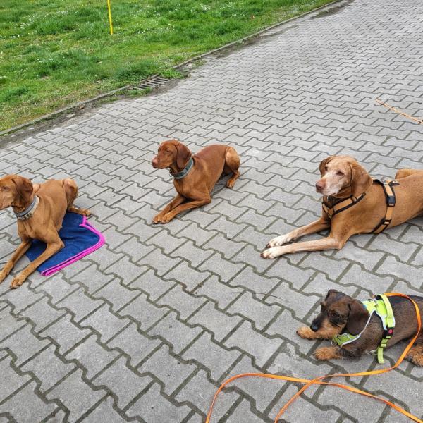 Workshop B: Sitz - Platz - Bleiben