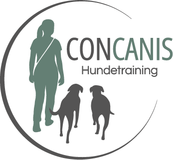 Hundetraining