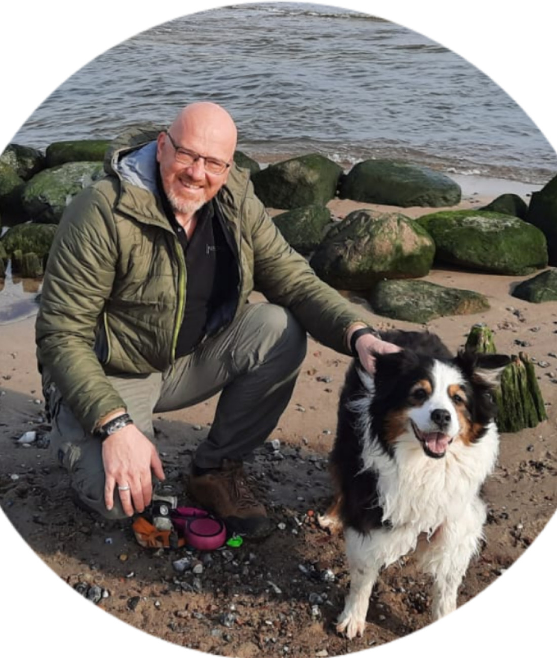 Modernes Hundetraining by GoodDogs Hundeshop