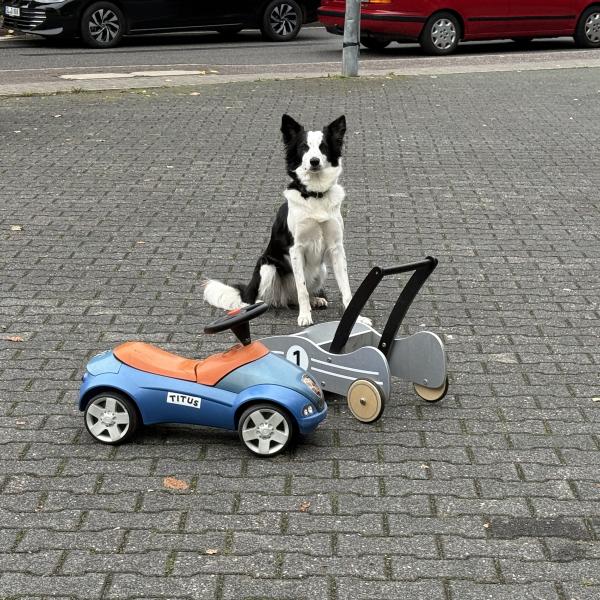 Trick Zertifikat SILBER