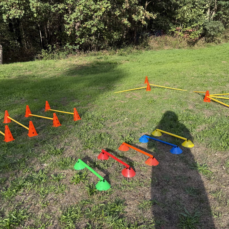 Hundefitness Kurs