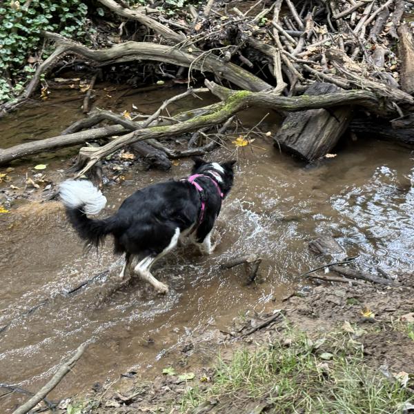 Erlebnisspaziergang Summer Edition