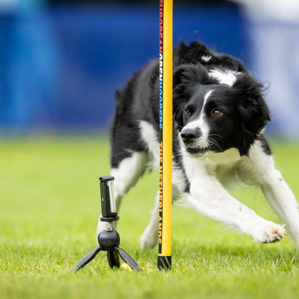 Hoopers Intensivtraining Dezember 2