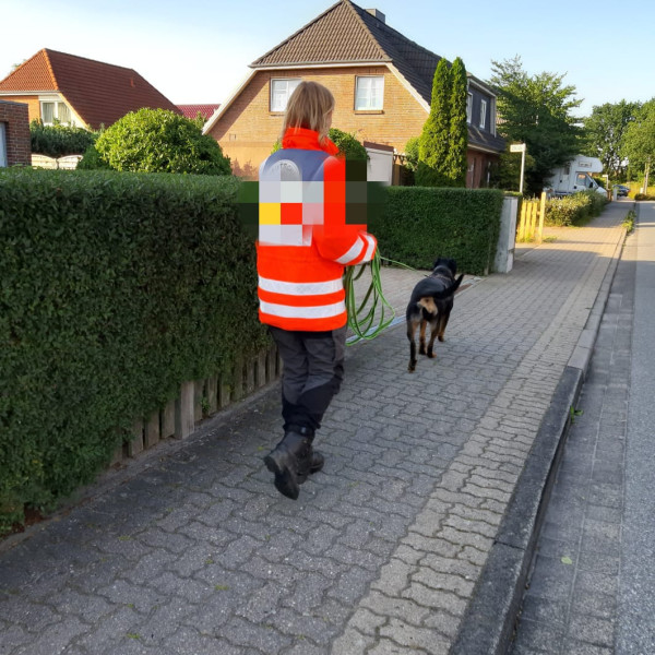 Fun Mantrailing für Anfänger Samstag 11:30 Uhr