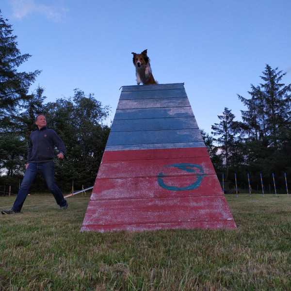 Fun Agility Donnerstag 16:00 Uhr