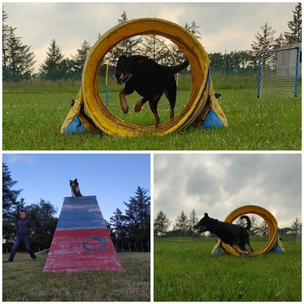 Fun Agility Samstag 14:00 Uhr