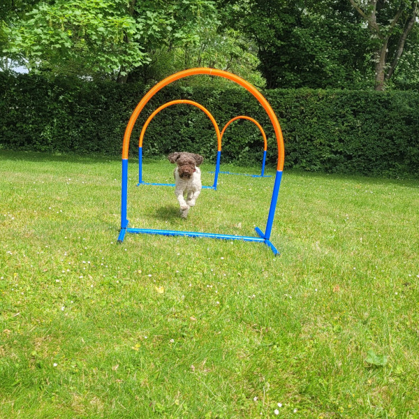 Hoopers Freitag 18:00 Uhr