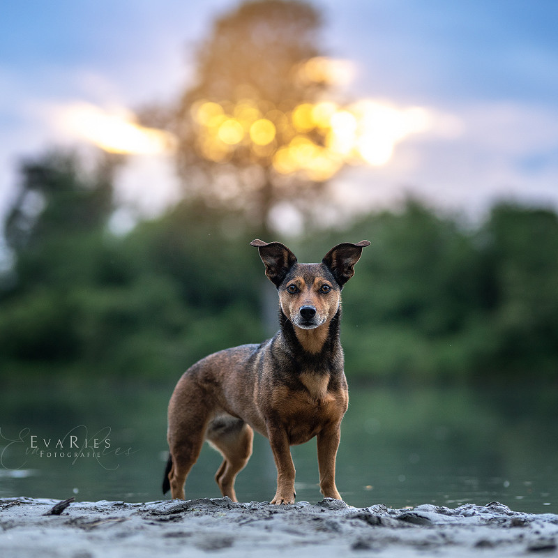 Fotowalk bei Alzgern